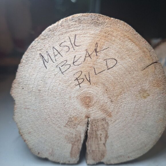 Kachina Doll Bear Mask BYLD Vintage Native American God Legend Folk Art Shell - Picture 10 of 15